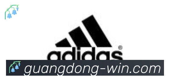 广东体彩合作伙伴
